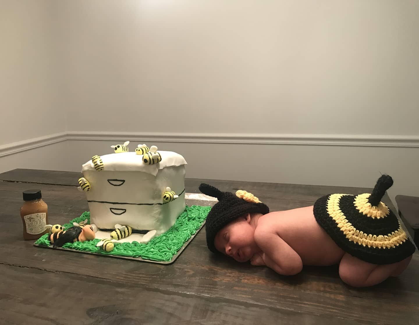 Second Bake off contender: Everyone is worried about invasive hornets, but look at the size of this infant-bee! Here we have a rustic honey cake in the shape of a honey bee colony. 

#HarpurLabBakeOff #boilerbeehoney #purdue #adorable