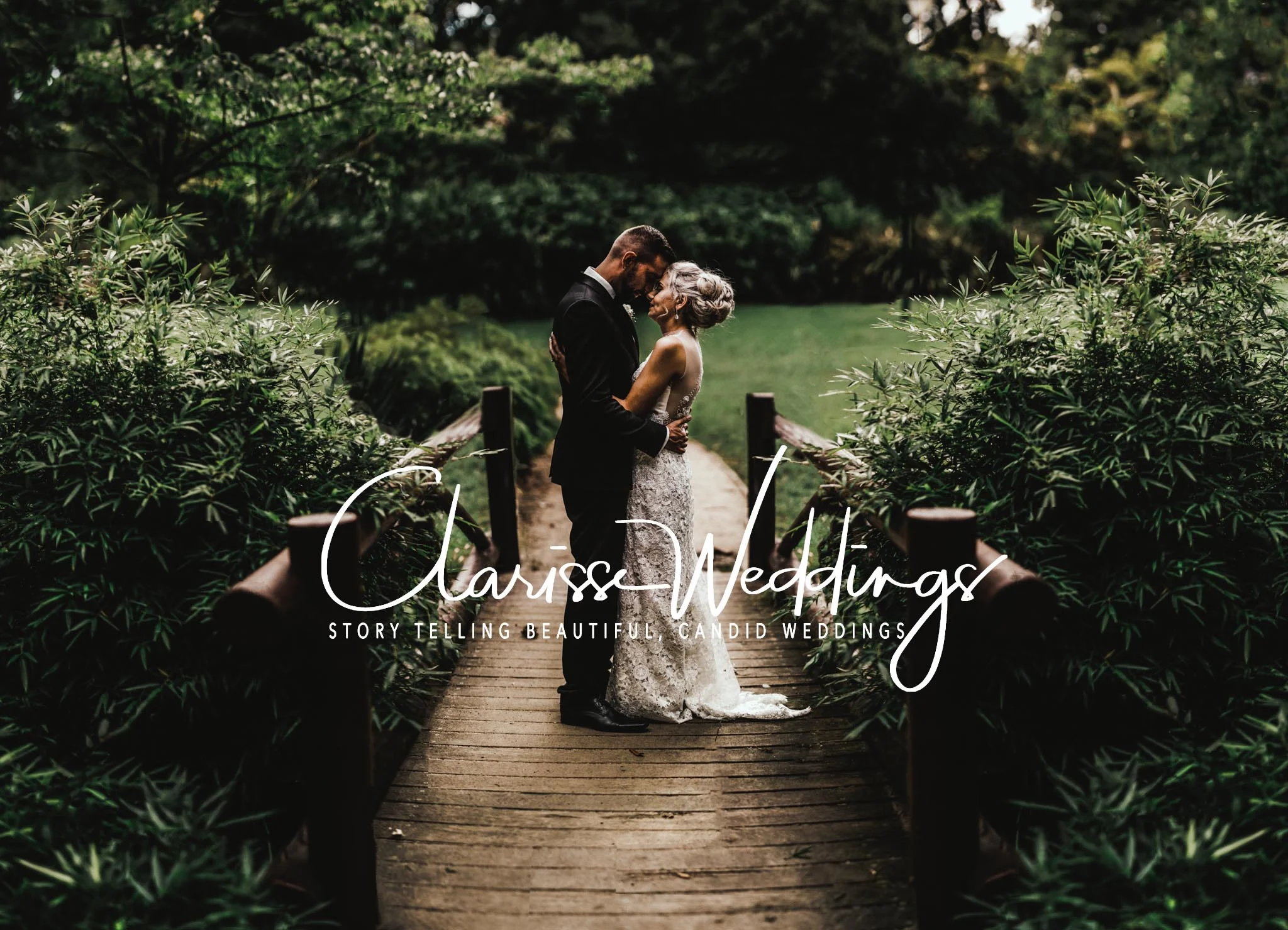 Sarah+Dragan-Logo-Header.jpg
