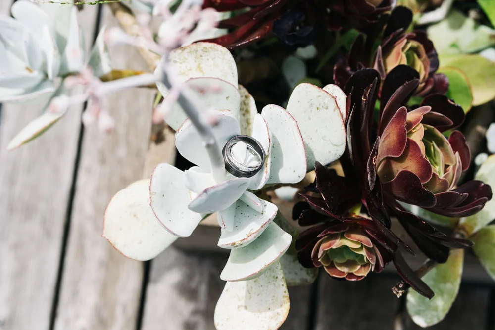 ZONZO'S-RELAXED-WEDDING-OF-LEANNE+BRENDAN9.jpg