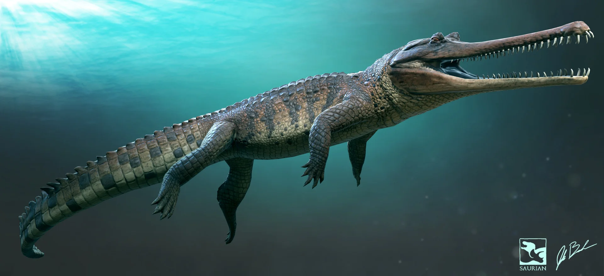 Thoracosaurus in Saurian.