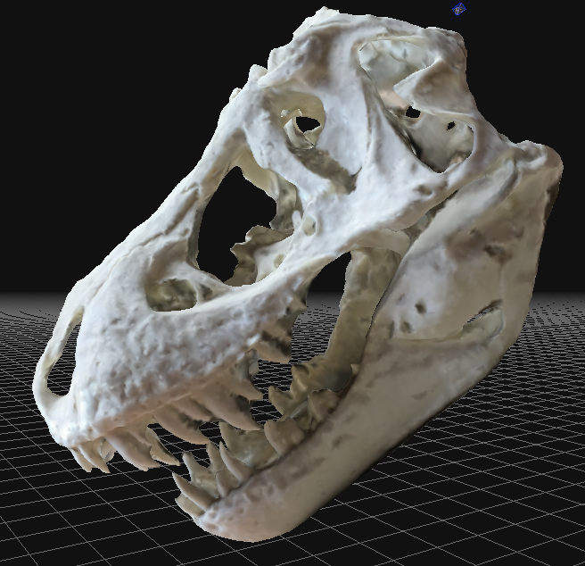 Stan skull.png