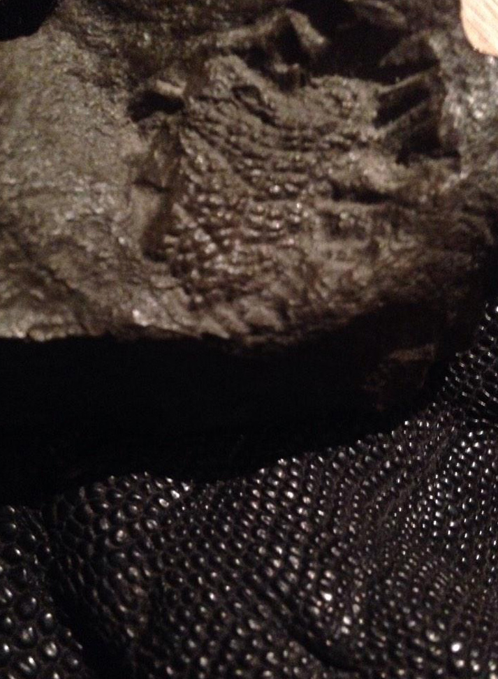 Skin impression of Tyrannosaurus rex (top) compared to the reticulae on the foot of an emu (bottom). (Image credit: Pete Larson)