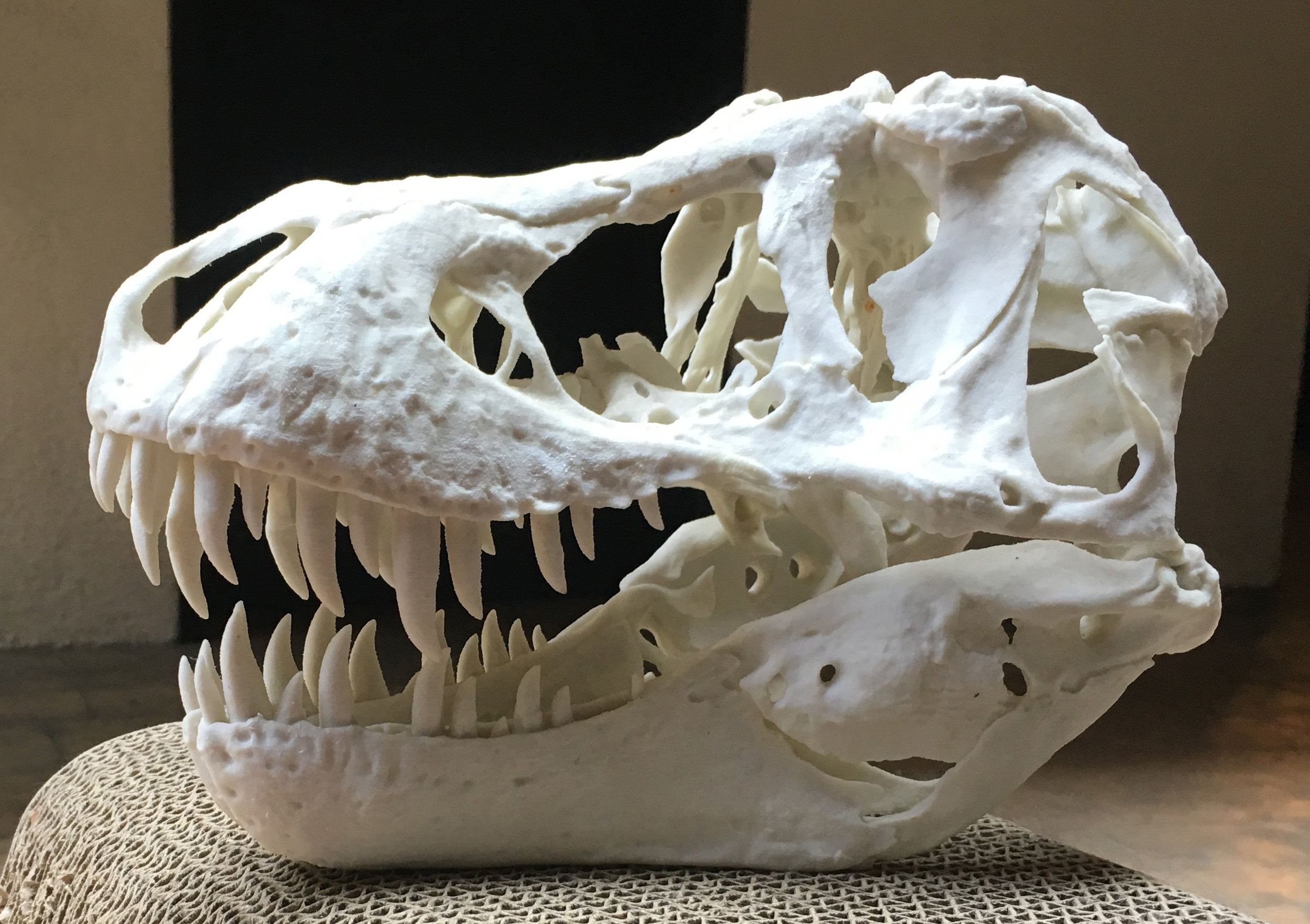 3D Printing a Full-Size Tyrannosaurus Rex Skeleton