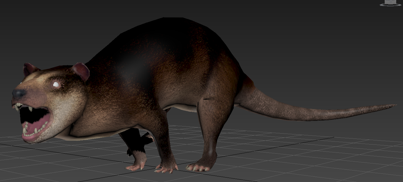 Didelphodon.png