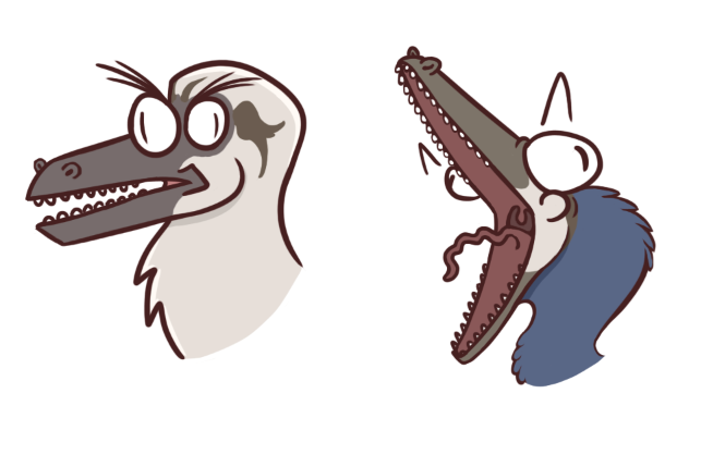 unknown.png