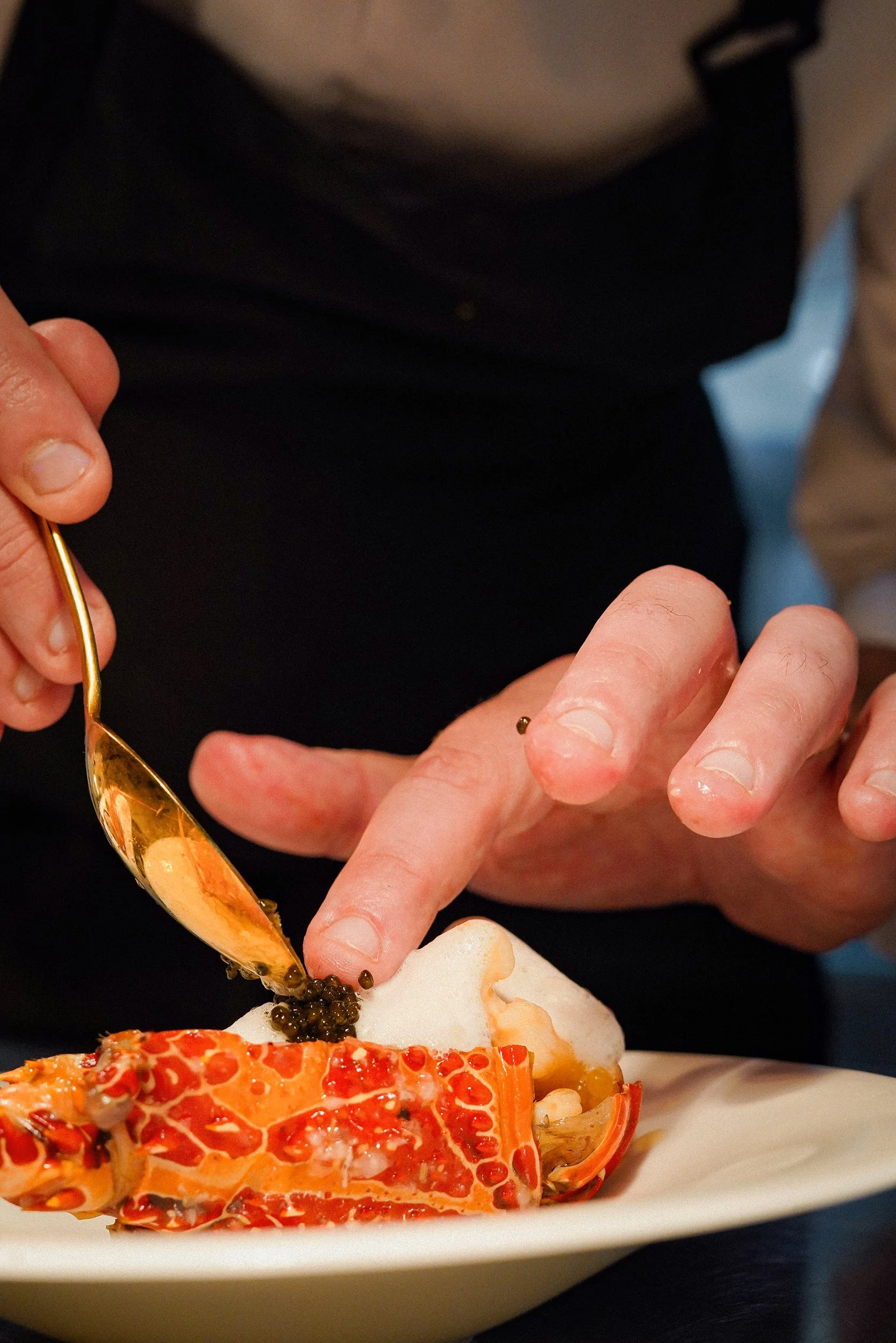 MEV08173-66_FIN (w).jpg