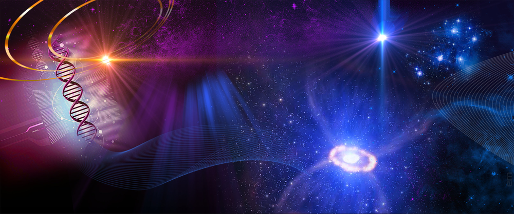 banner3.png