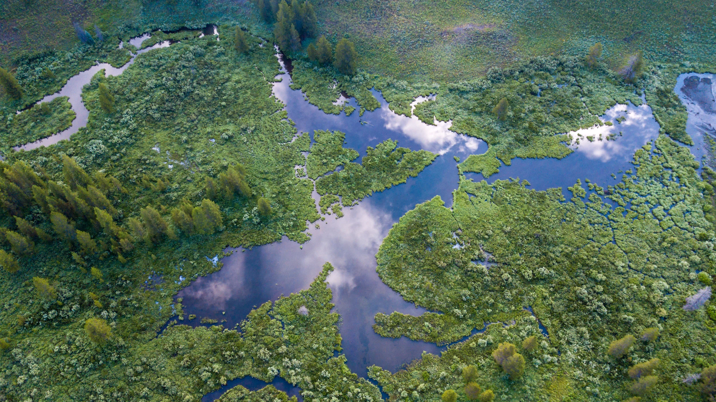 Aerial Drone Photographer Mecosta County Michigan.jpg