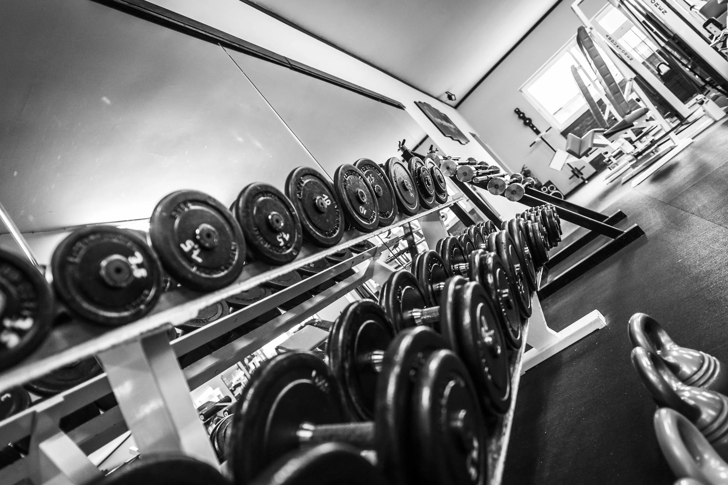 Weights 2.jpg