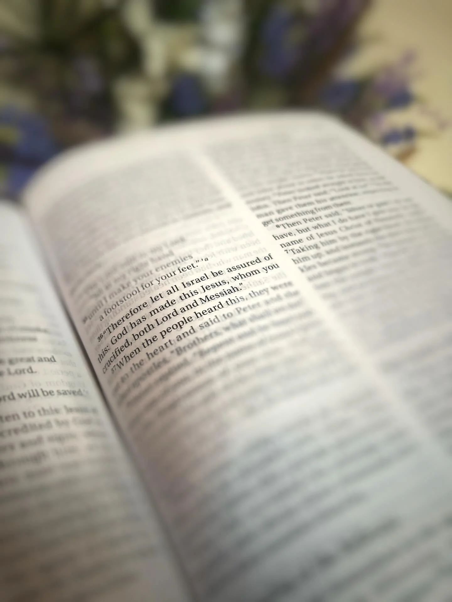 Ever wondered what Christianity is all about? Join us this Sunday to find out as we dig into the original message from Acts 2. 

Services at 8am, 10am &amp; 5pm 🌟