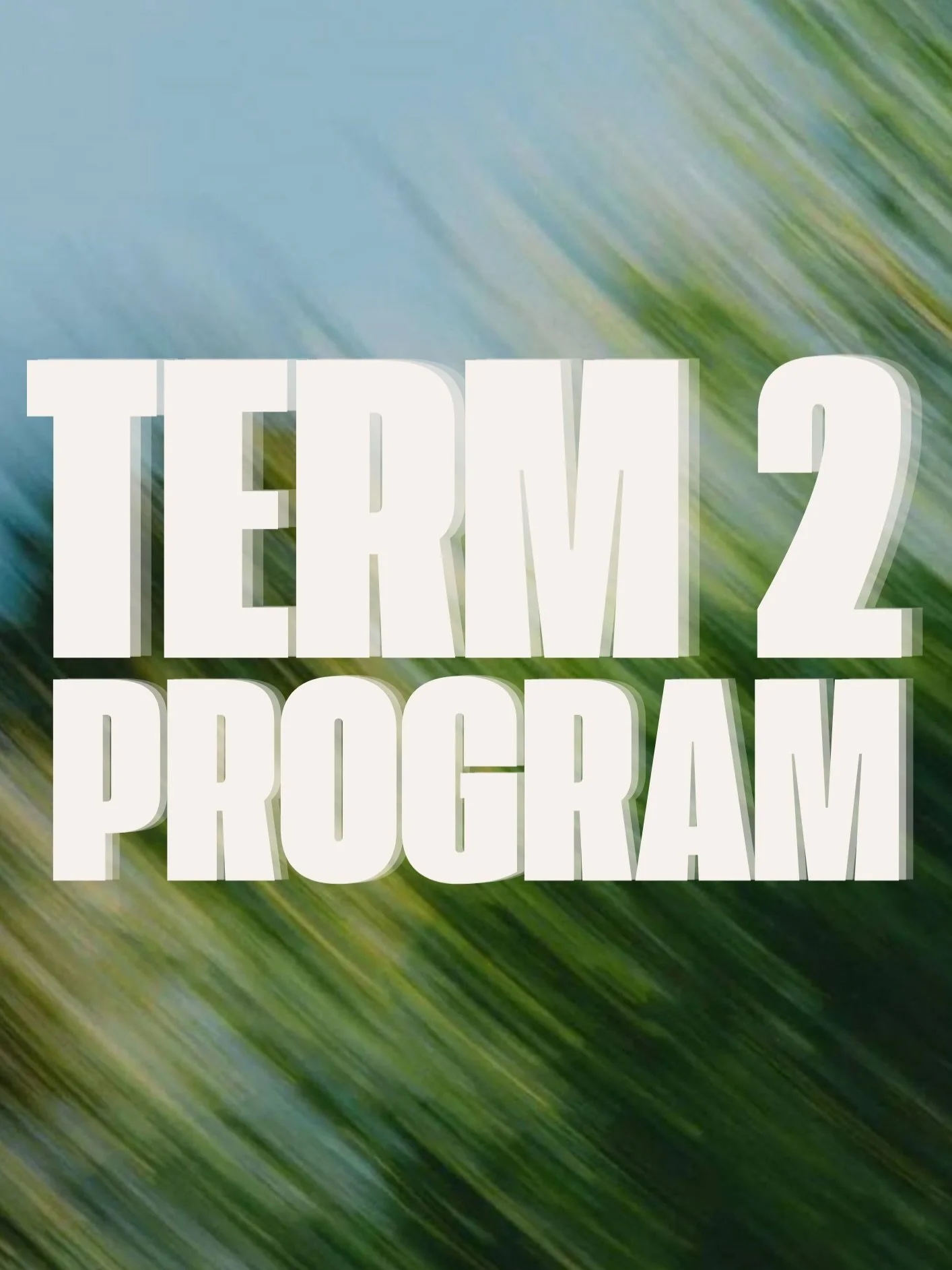 term 2 program 🌟

we&rsquo;re so keen to see you all for another great term :)