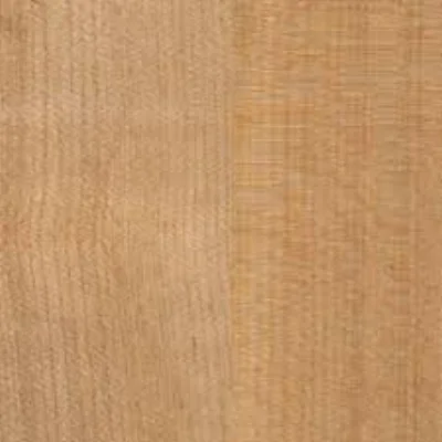 image-10.jpg