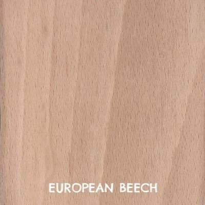 european-beech-s.jpg
