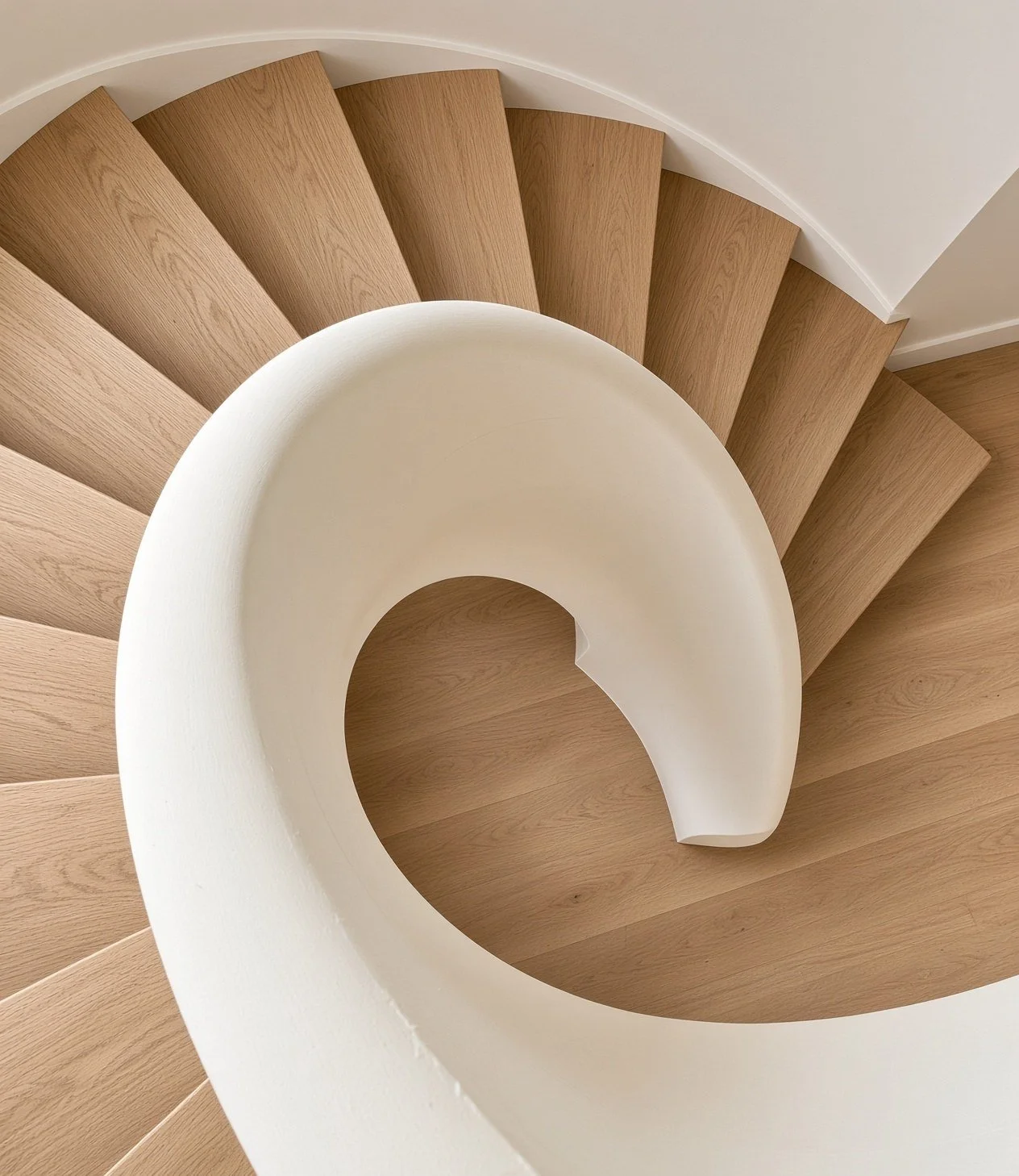  White sculpted helical balustrade spiralling over oak treads, seen from above, Bondi 