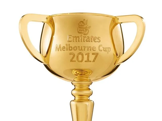 2017_emirates_melbourne_cup_1-06hg2366d18lsjuvyn2_fct800x600x62.0_ct620x465.jpg