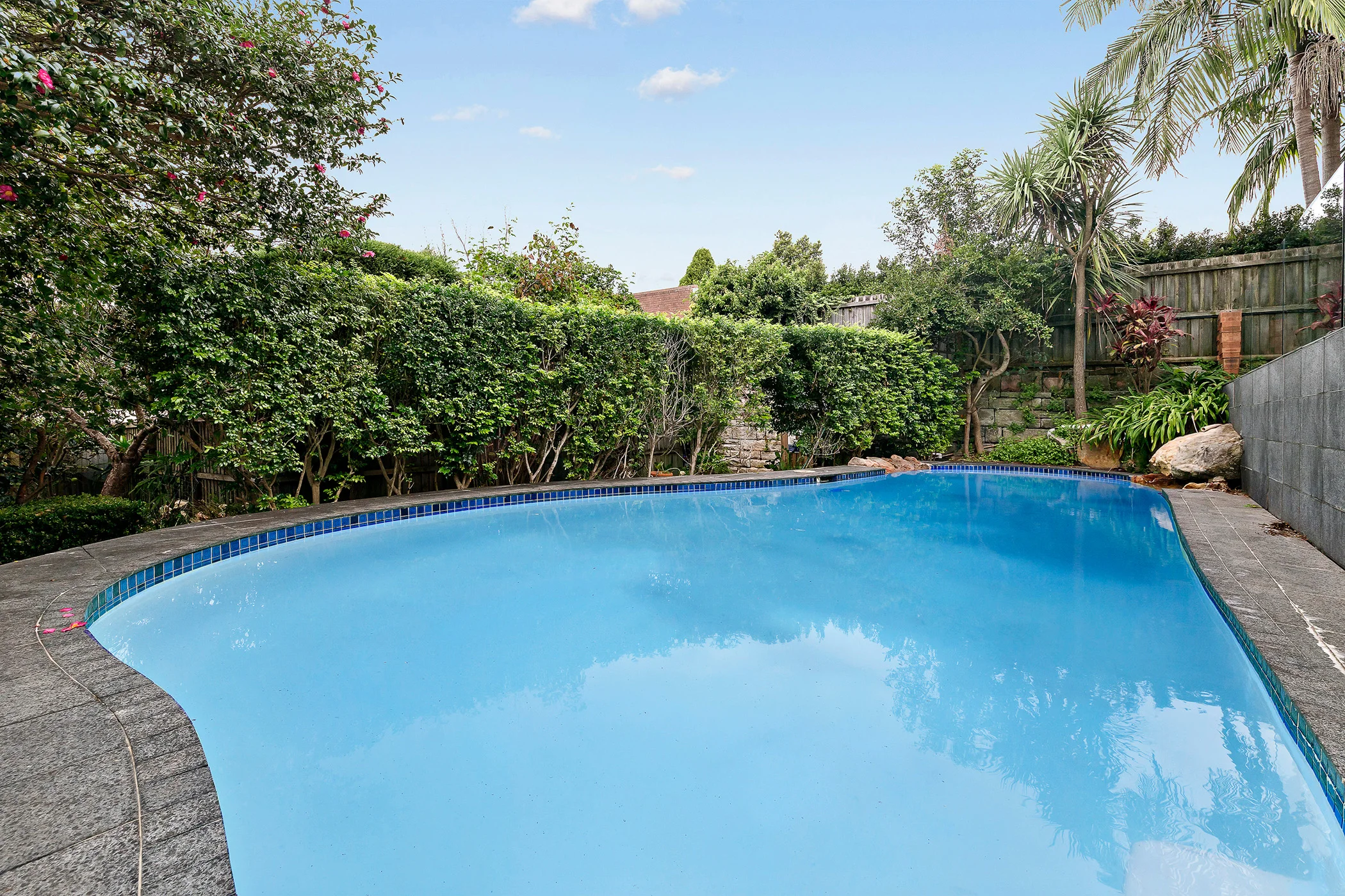 Pool - Web.jpg
