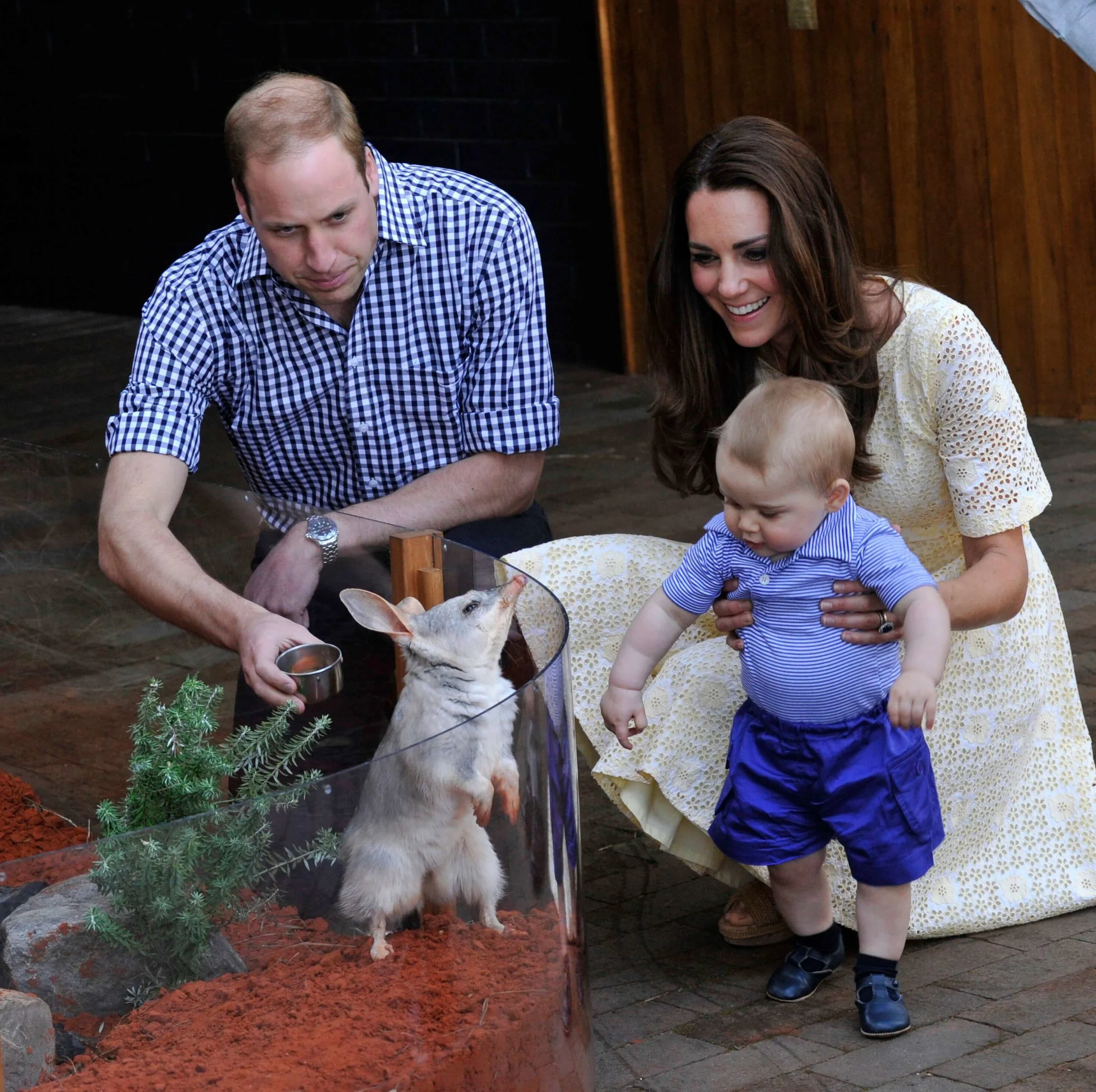 Image courtesy Taronga Zoo.
