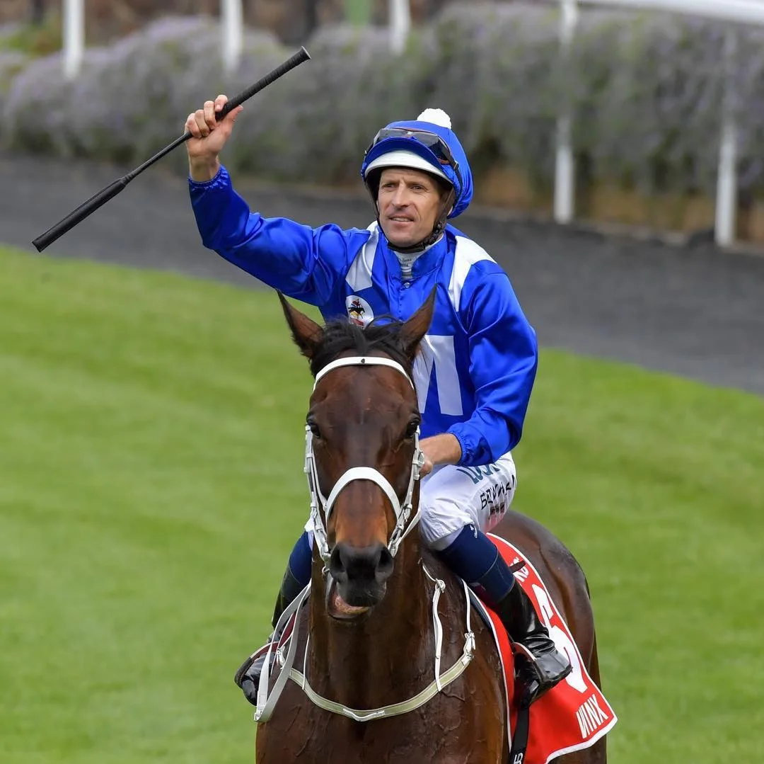 Image: winxhorse.com.au