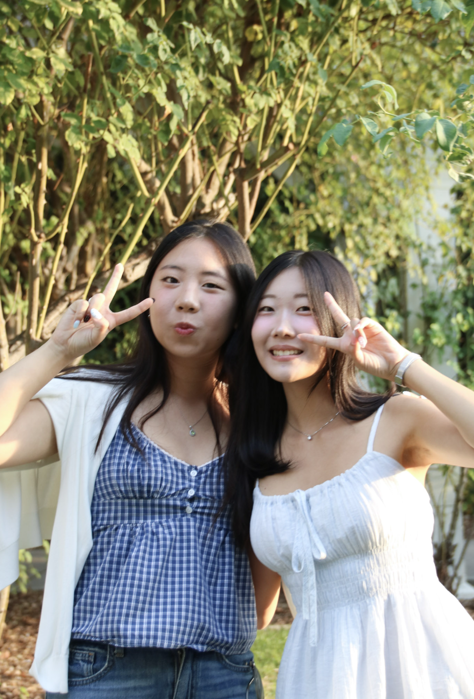 Screenshot 2025-12-29 at 8.55.10 PM.png