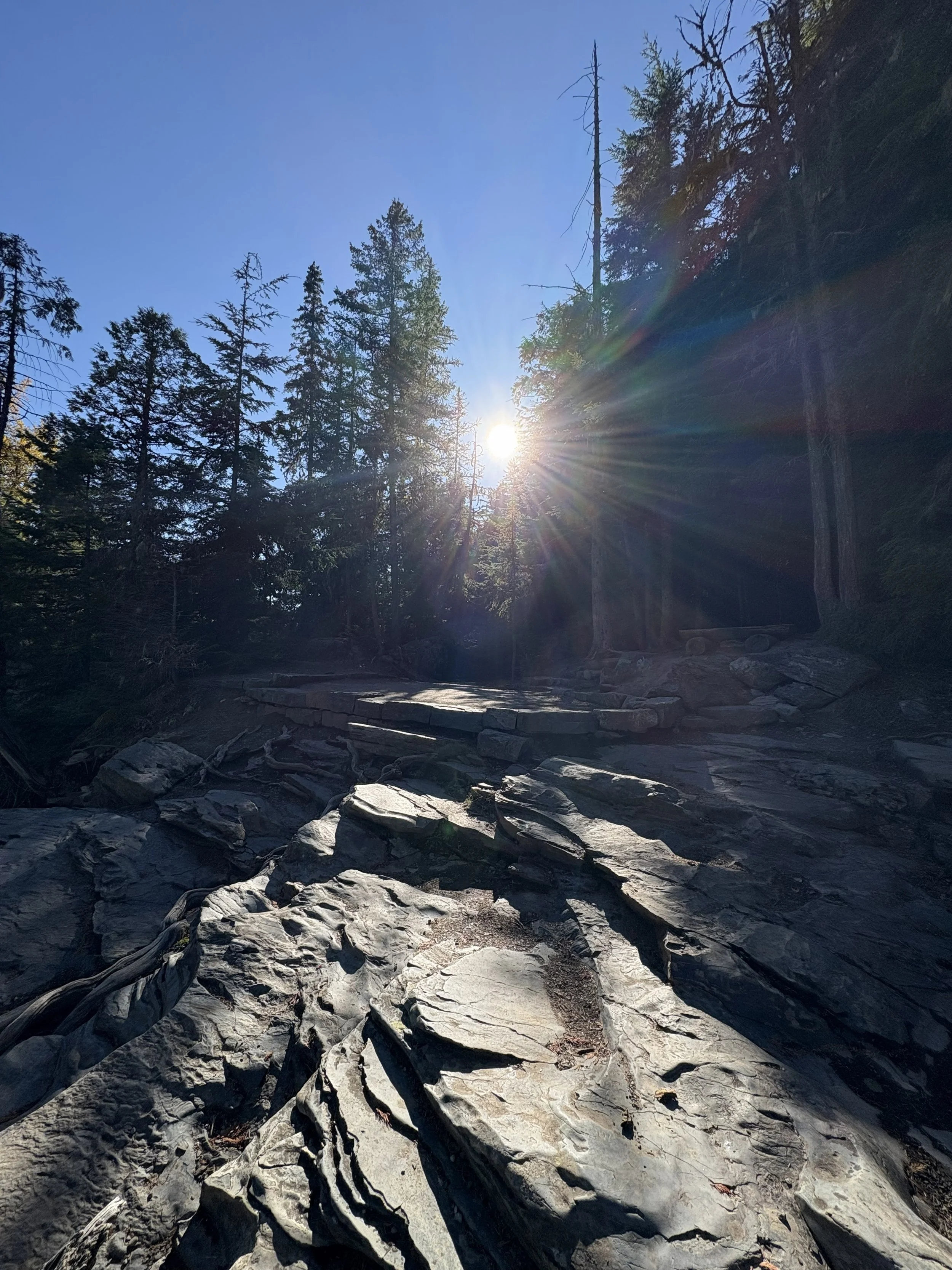 Montana Sunshine 2025.jpg