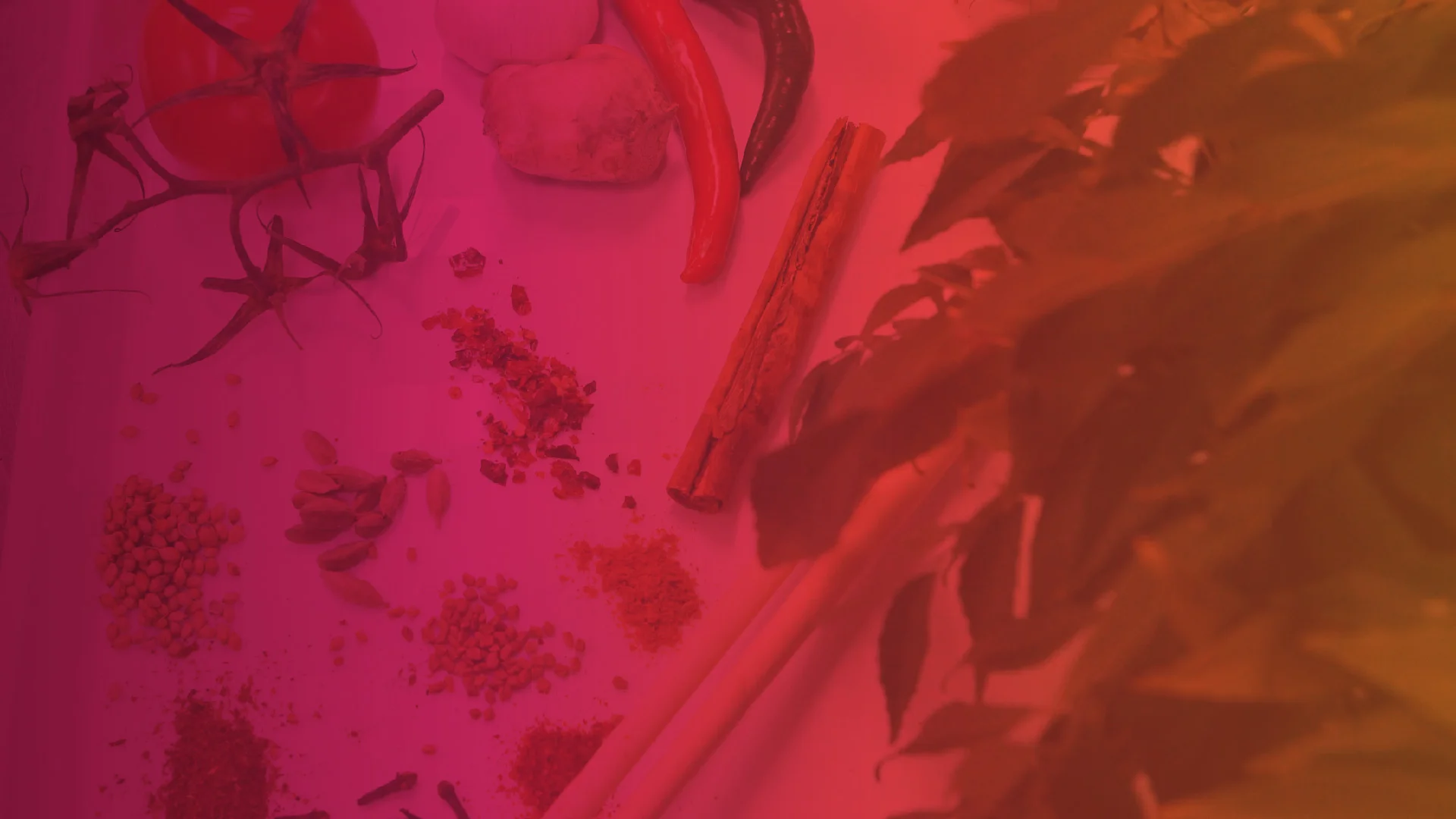 foodie trails - web banner-01.jpg