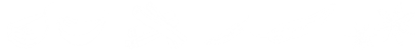 spices.png