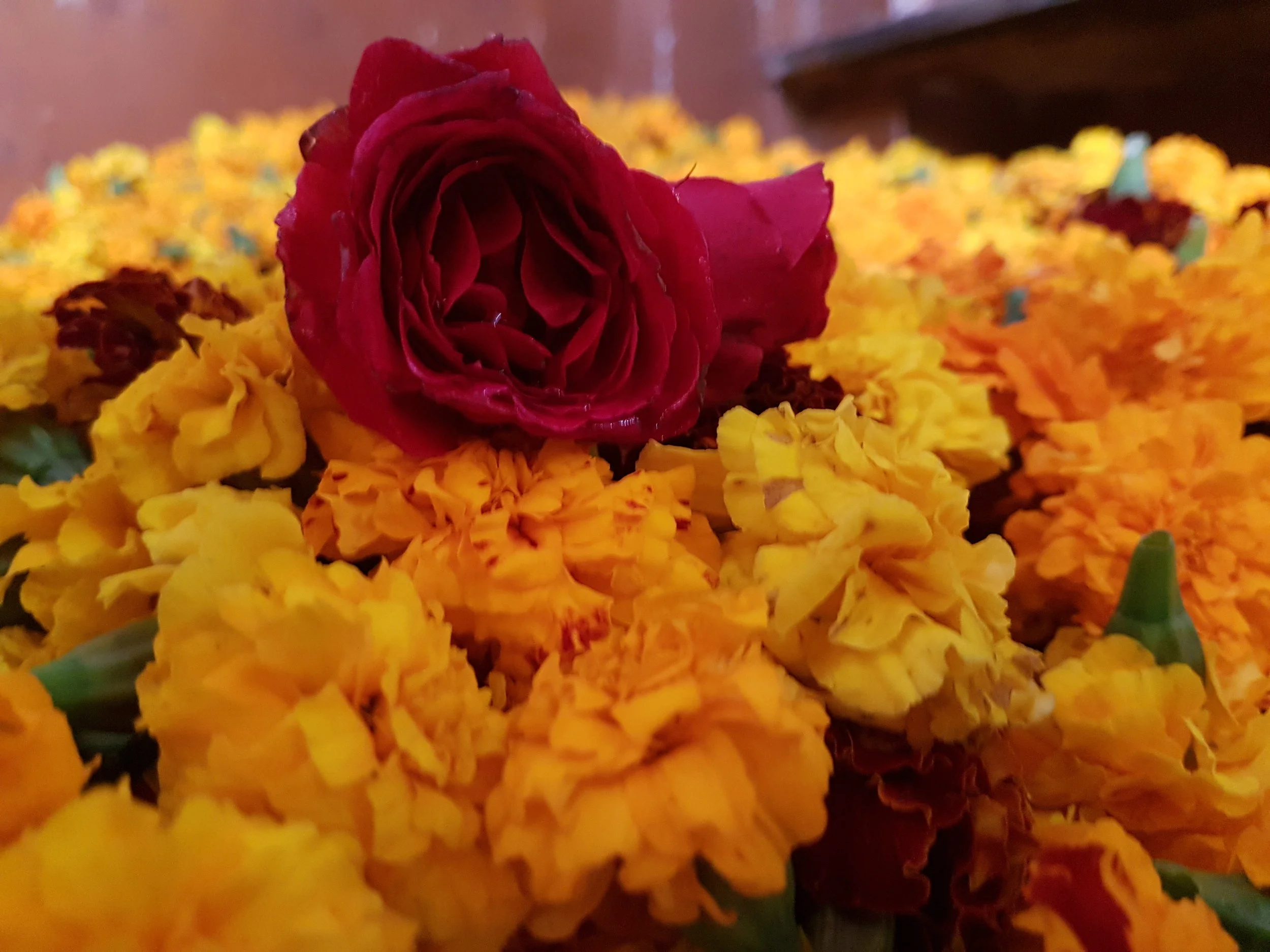 20180111_103038.jpg