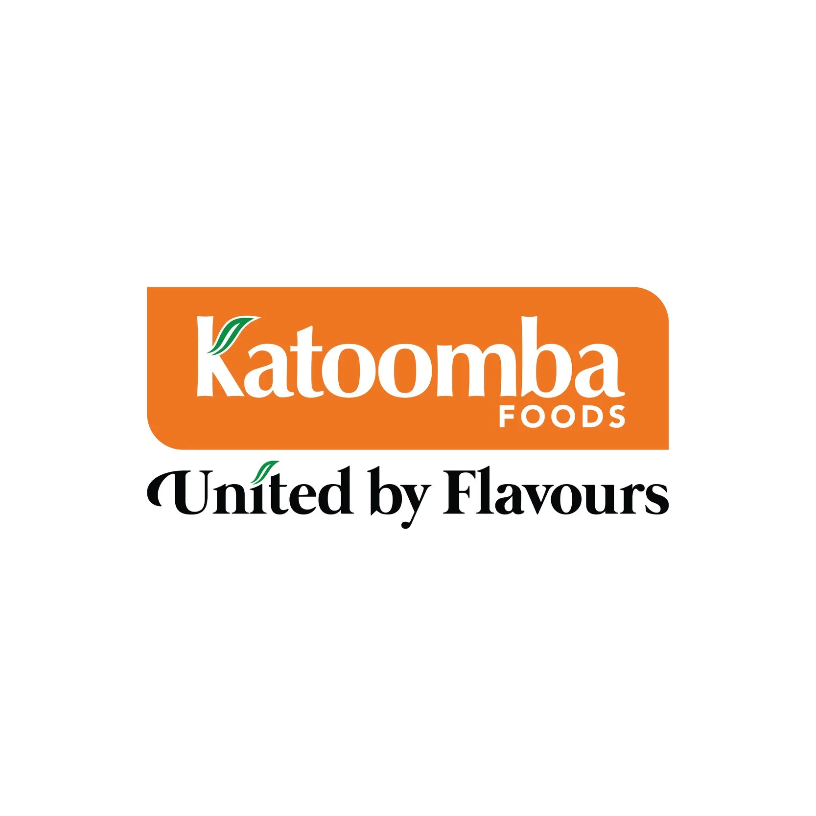 Major Sponsor
