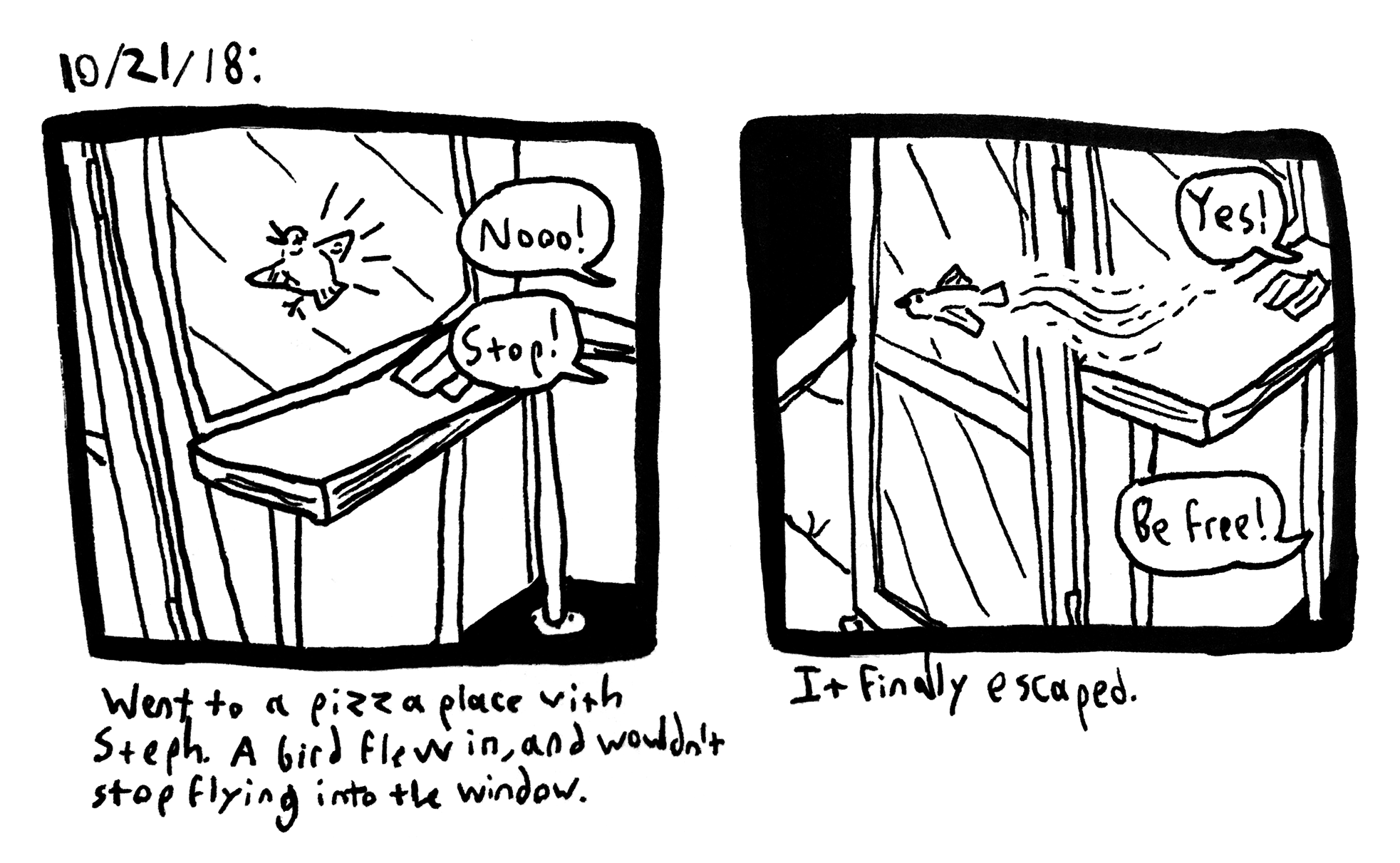 fd36.png