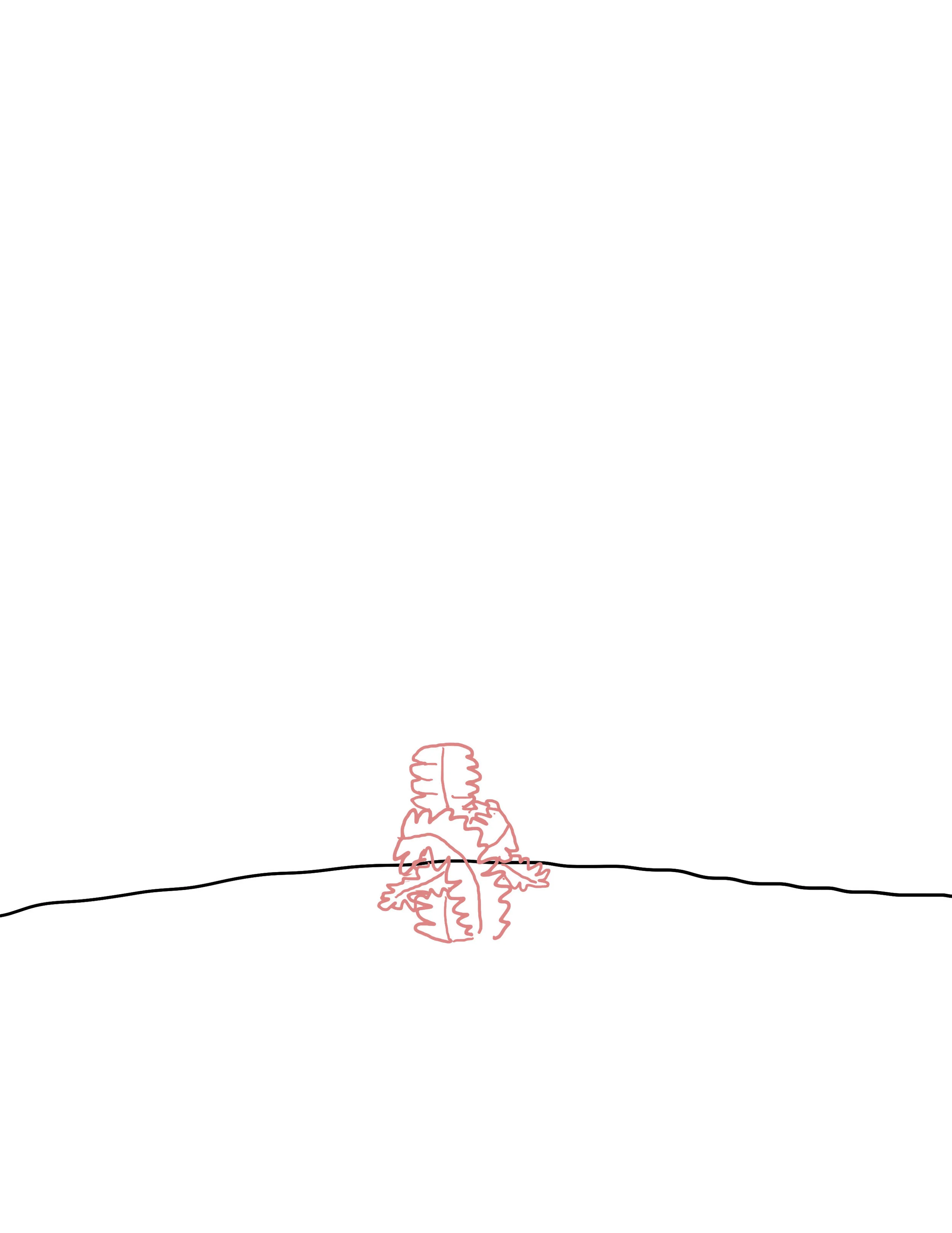 plamtgif10.jpg