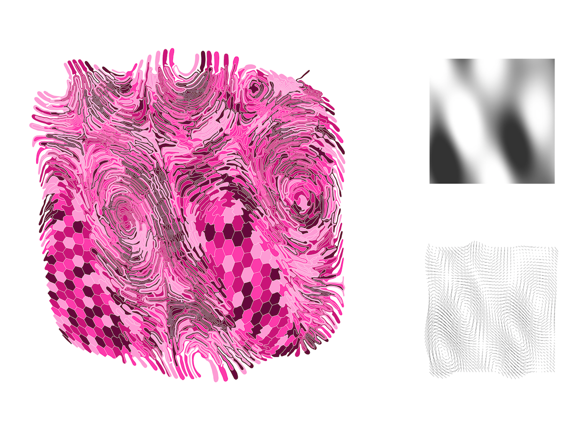 Not your grandfather's spatial adjacencies: Field-directed differential curve growth
