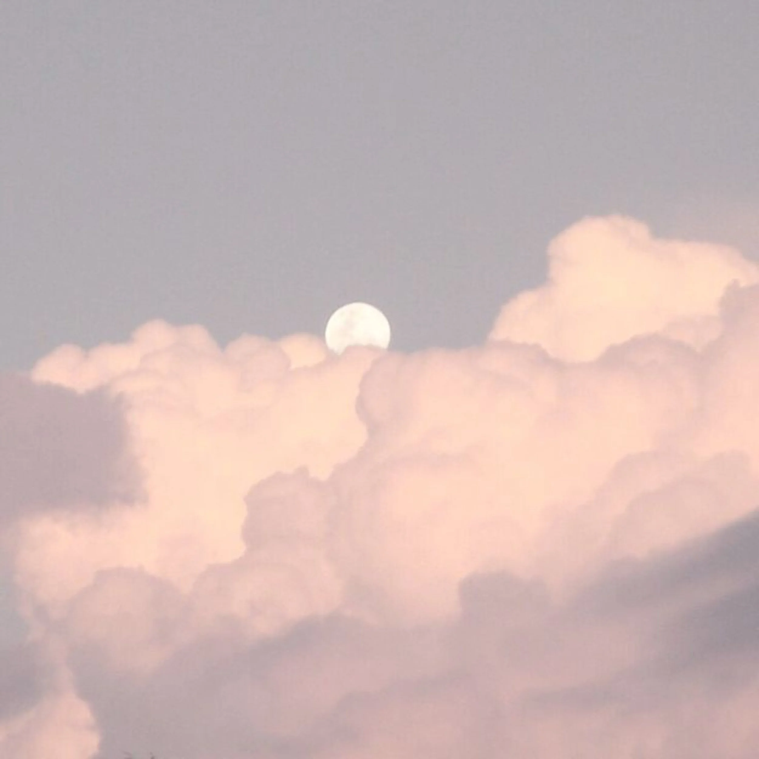 sleepyhue-mood-board-lulling-outro-house-of-cards-C082cae8deac8ee6f88444d54bbdd09bd.jpeg