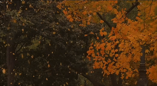autumn.gif