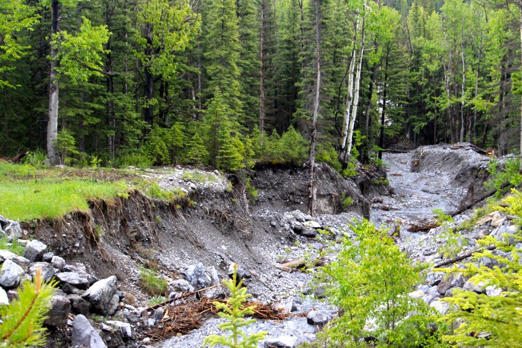 Wildbach + alpine Schutzmaßnahmen