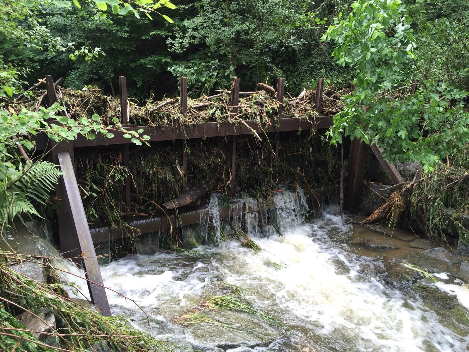 Wildbach + alpine Schutzmaßnahmen