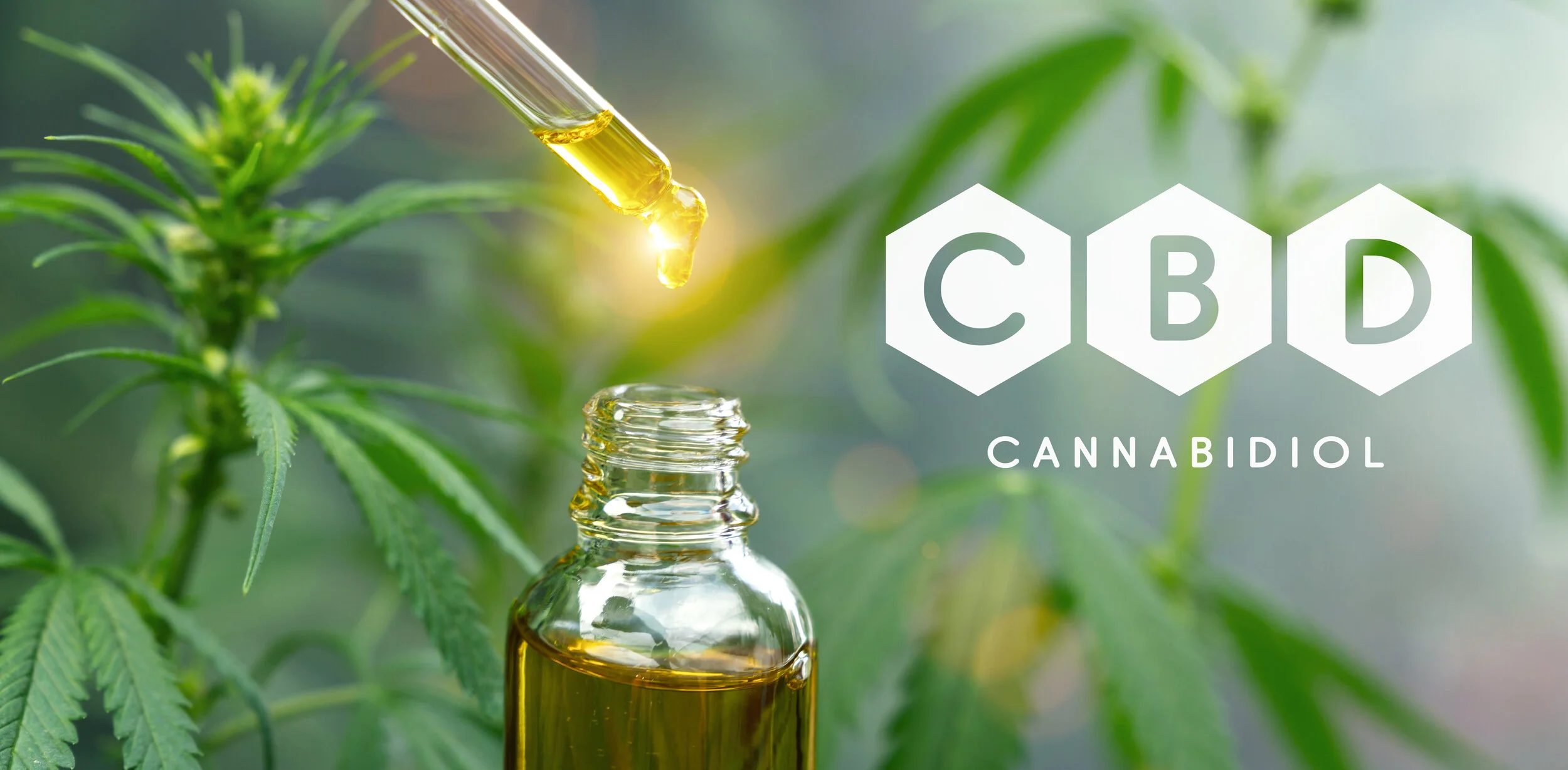 CBD...What is it and what are the potential benefits to supplementing it?