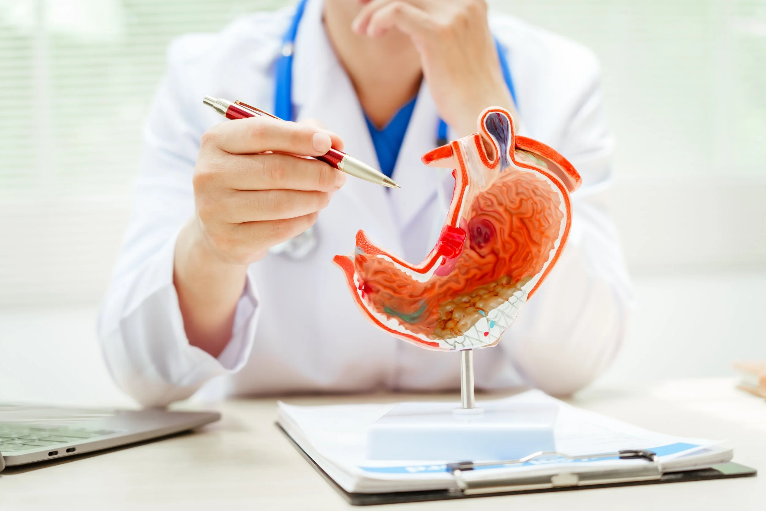 A Tale of Digestion: