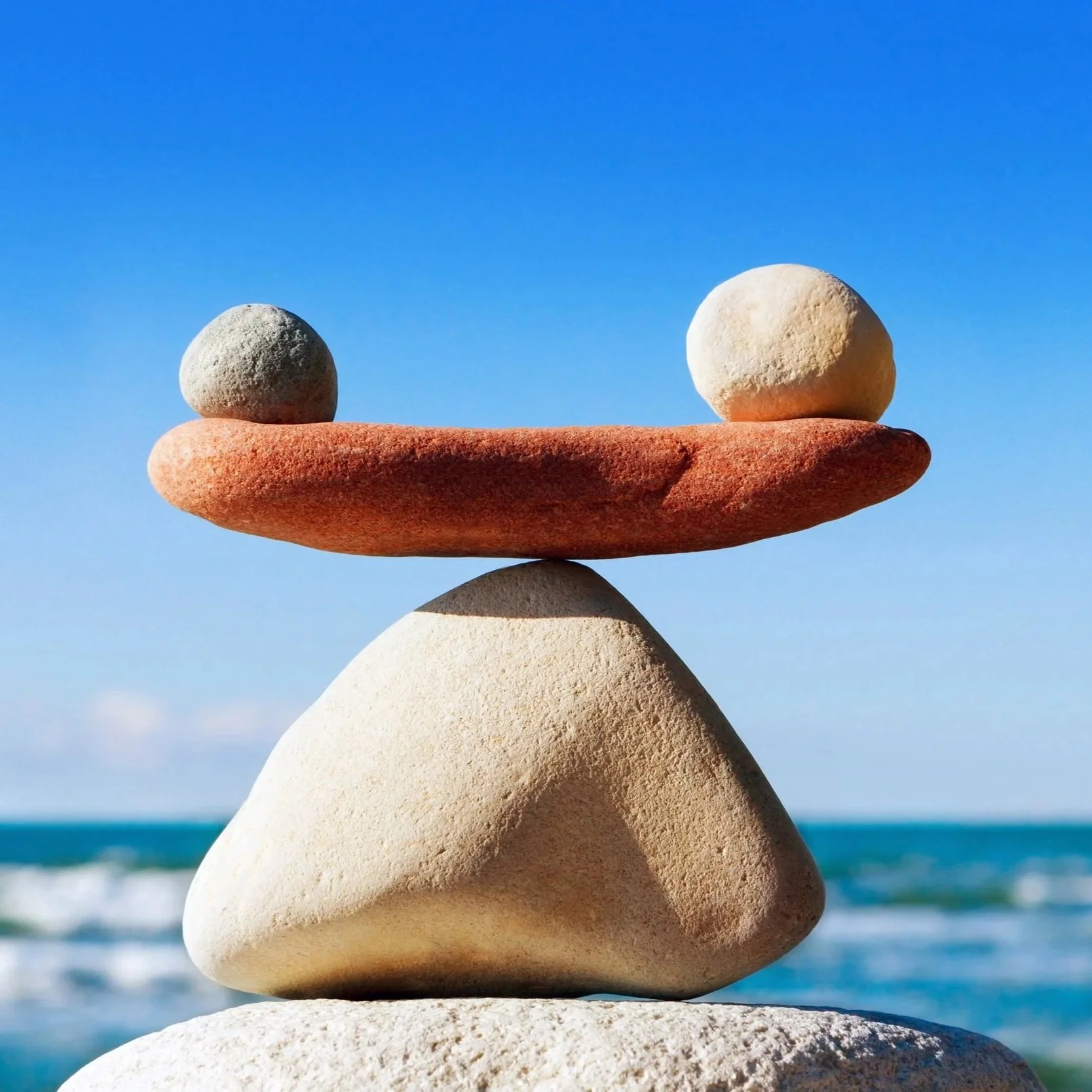 The 5R’s: REBALANCE:         The “Tend the Garden” Phase