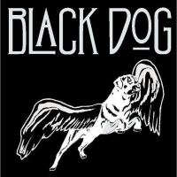 Song Analysis: Black Dog - Led Zepplin - Melody