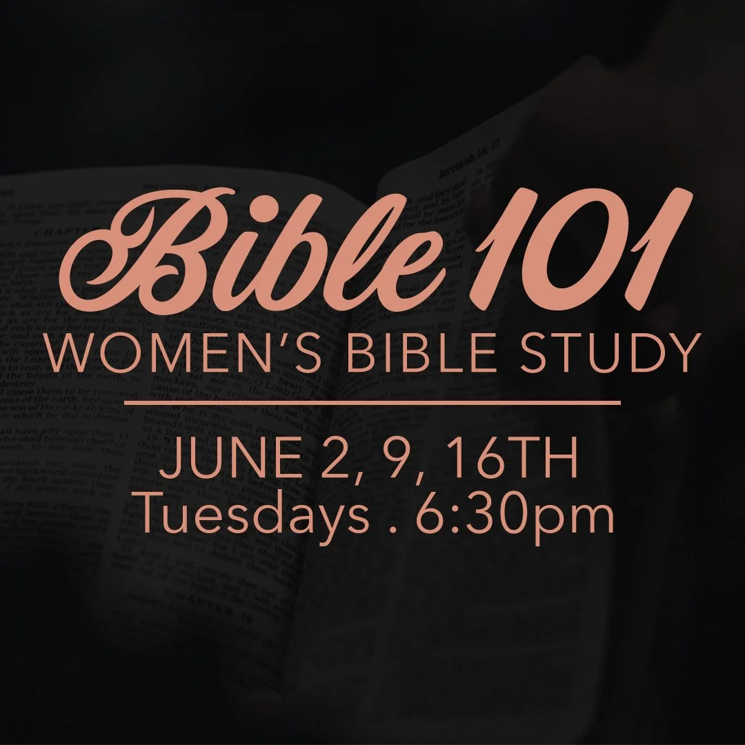 Bible 101 - Women's Study 