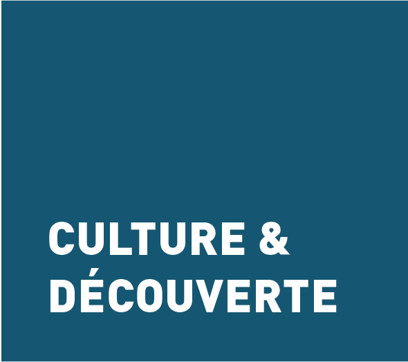 Thème Culture et Découverte.png