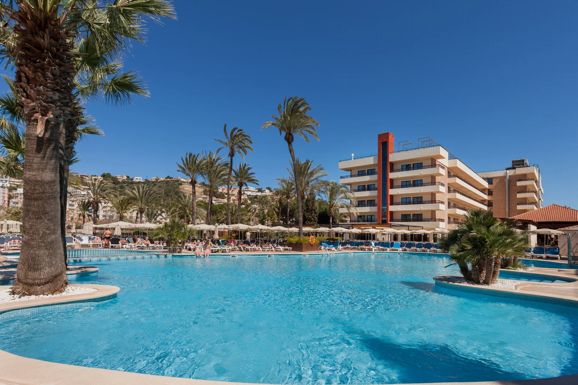 rdj-2015mainpoolh942172pp.jpg