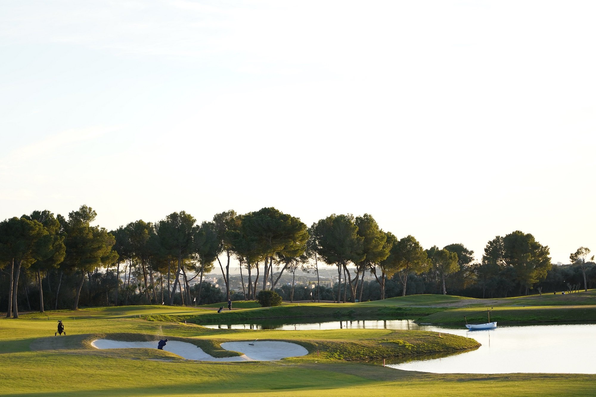 T Golf Palma January 2023_mid.jpg