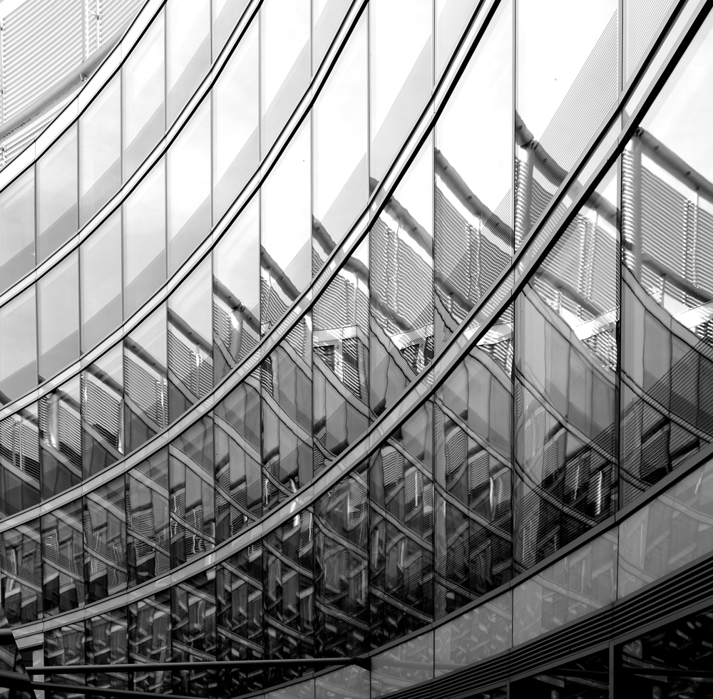 Mirrored Facination