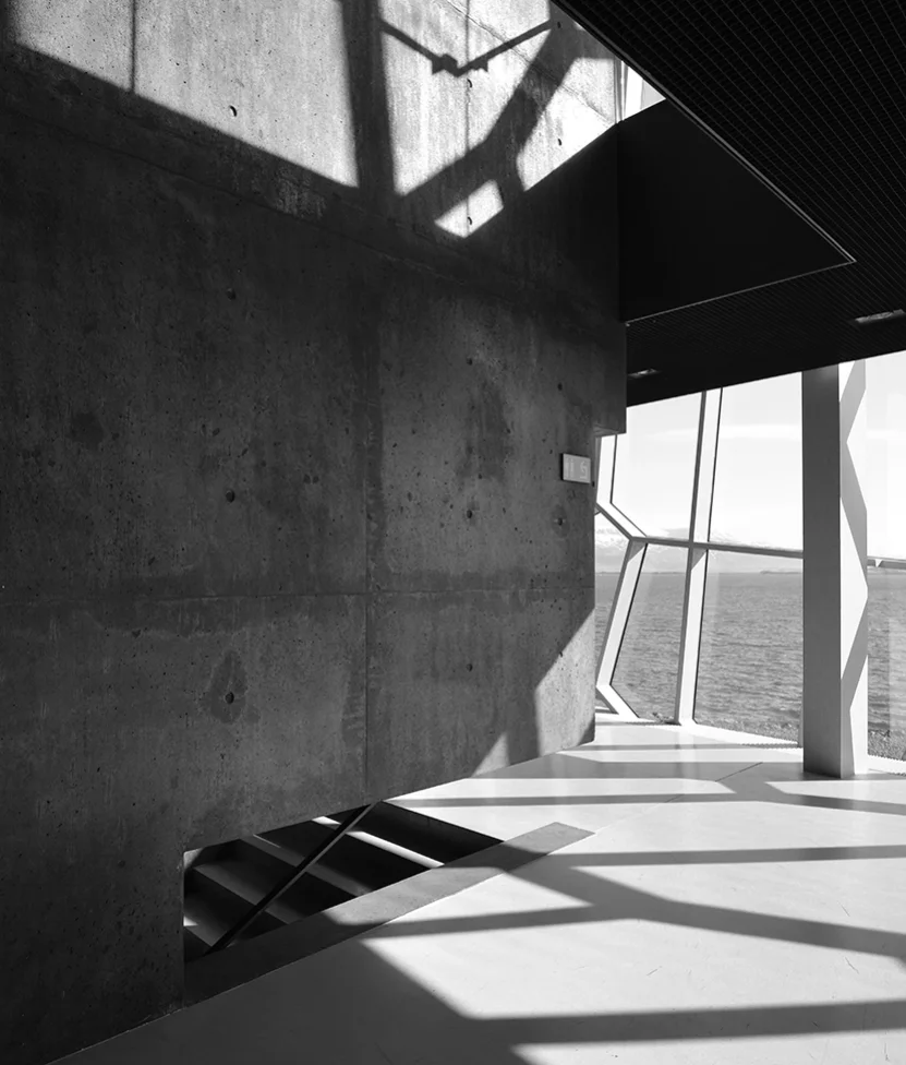 Shadow Web