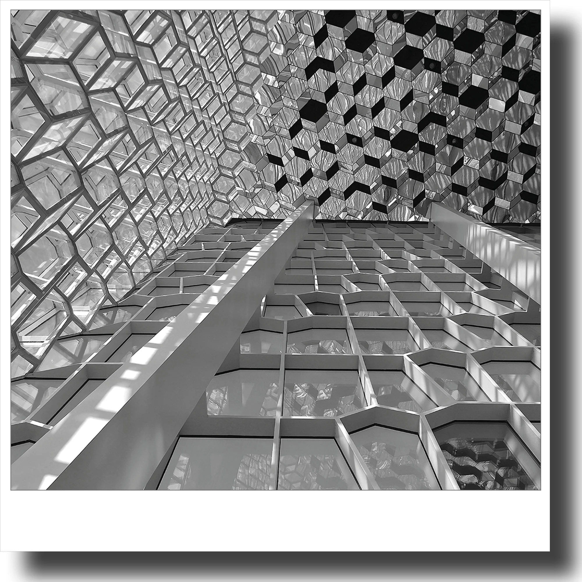 ECAD-Plate-Harpa-Web.jpg