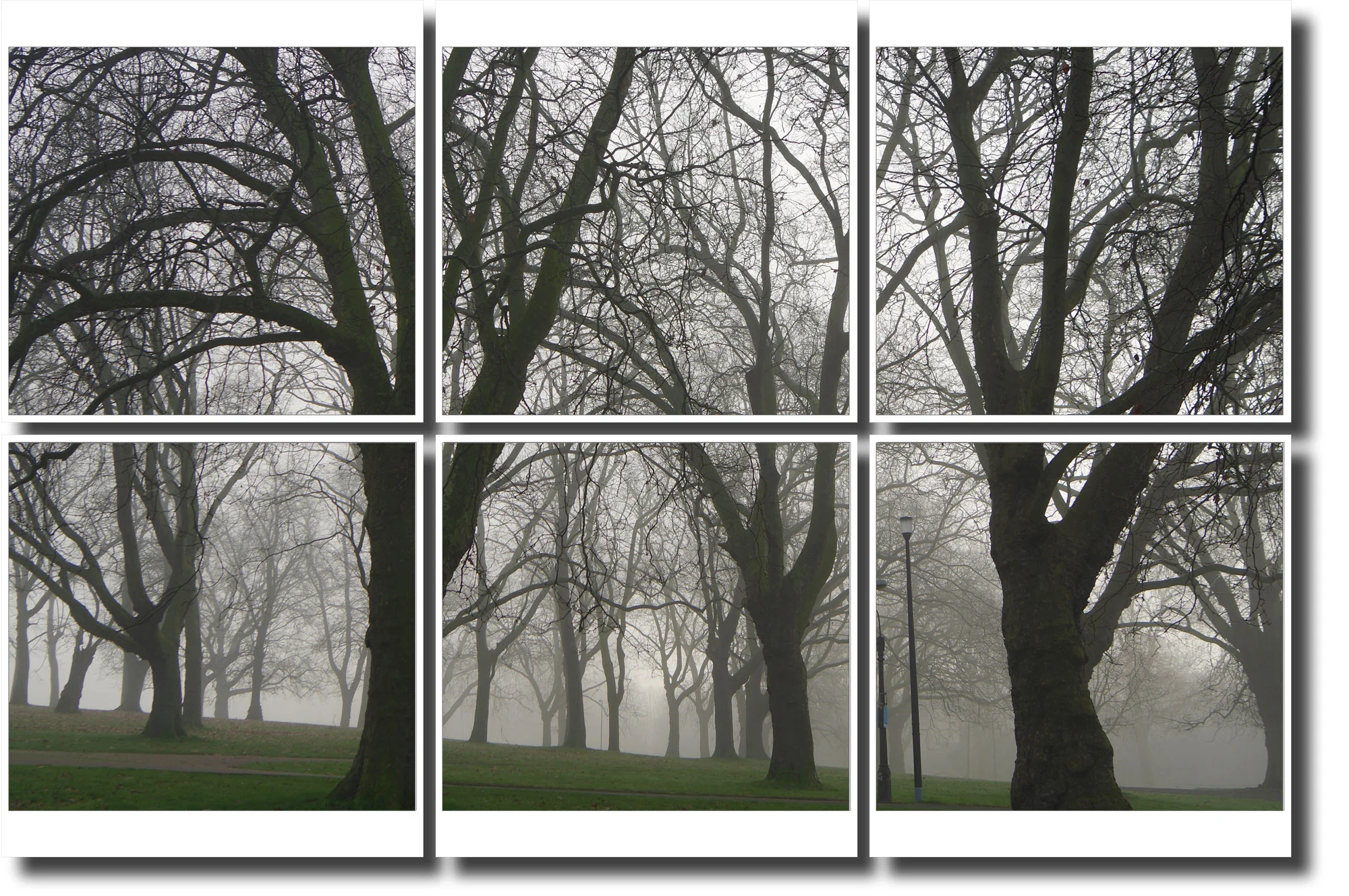 Peckham-Trees-Fog-web.jpg