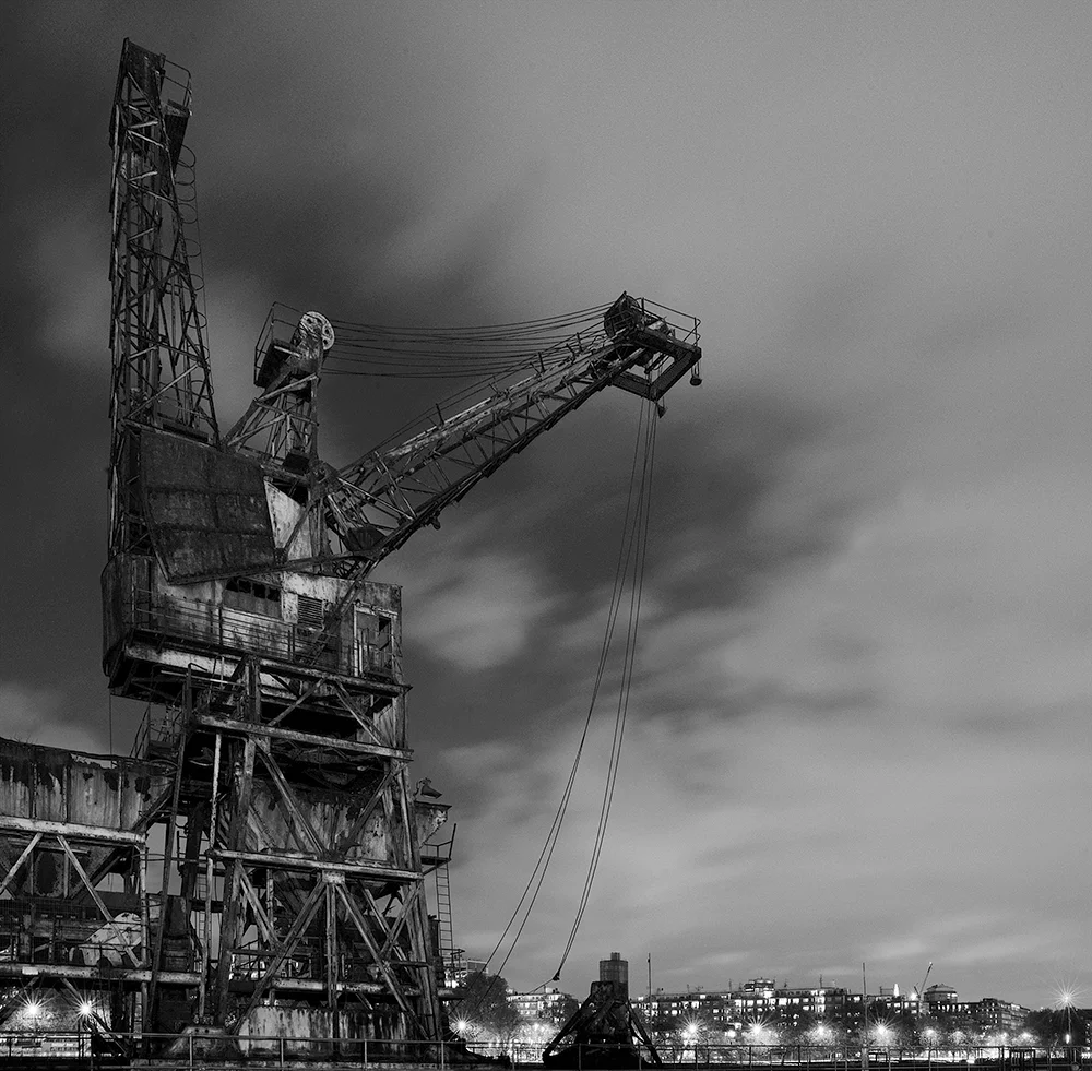 Battersea PS Cranes.jpg
