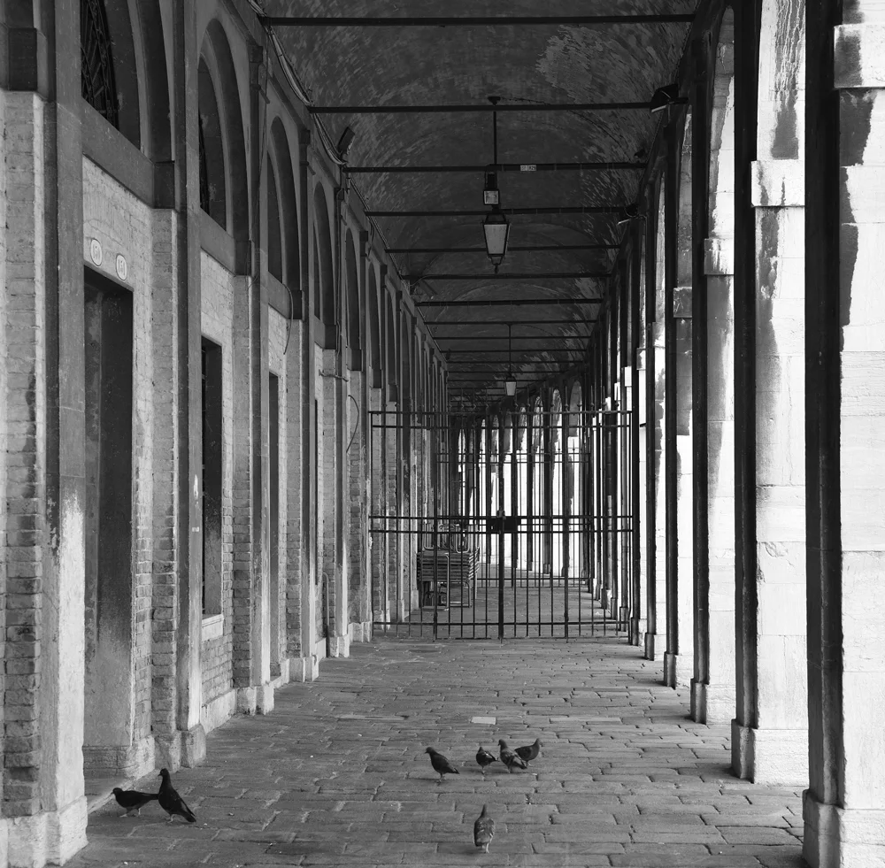 Venice-Colonnade-2.jpg