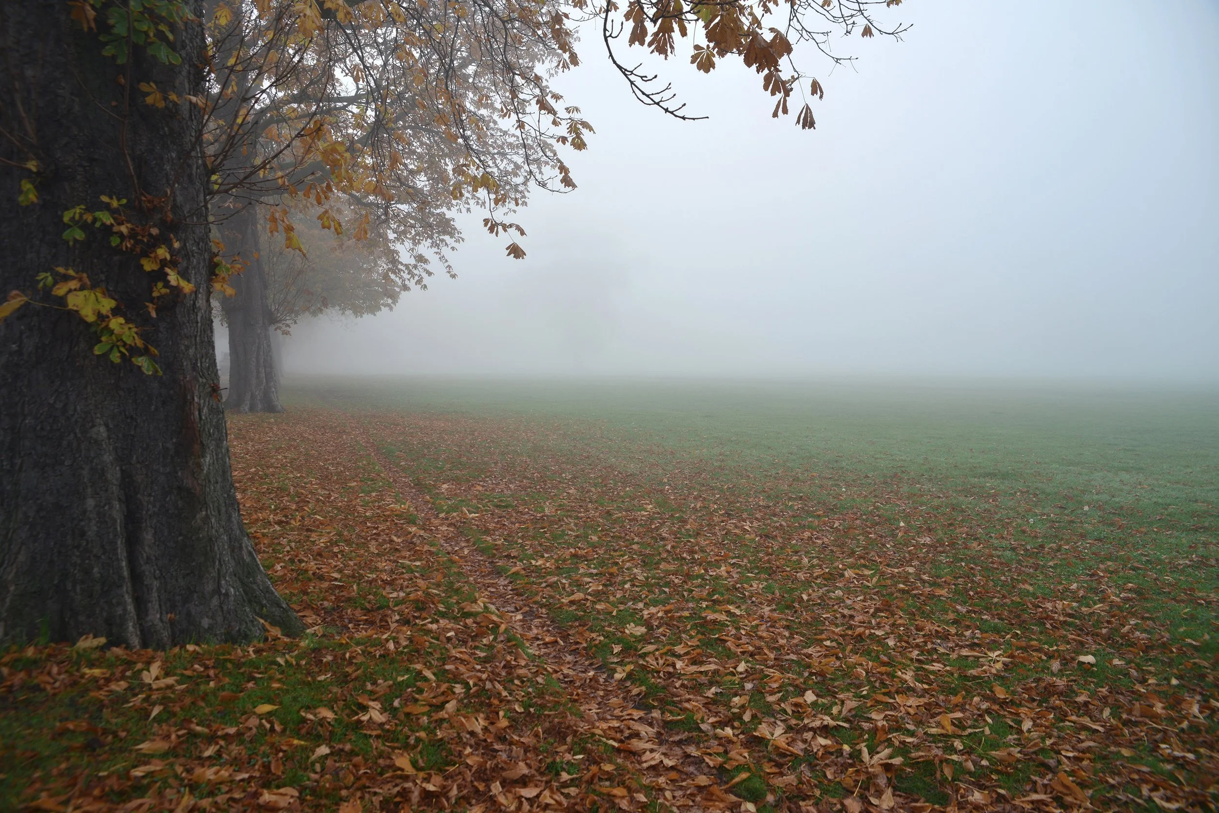 01-Urban-Serenity-Quietude-Peckham Rye Mist 2-Col.jpg